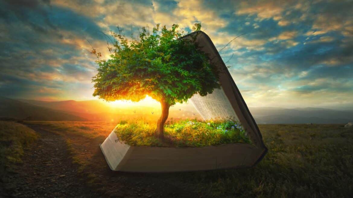 Bring the Bible to Life Through These Recommended Resources