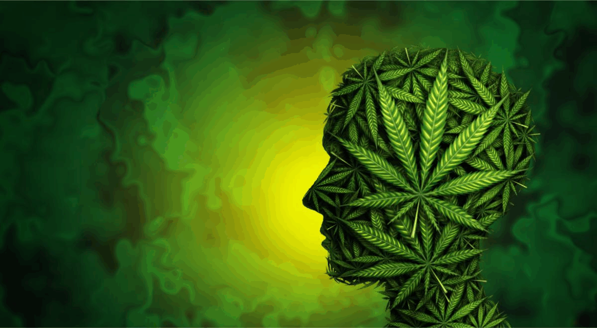 Marijuana, What You Need To Know
